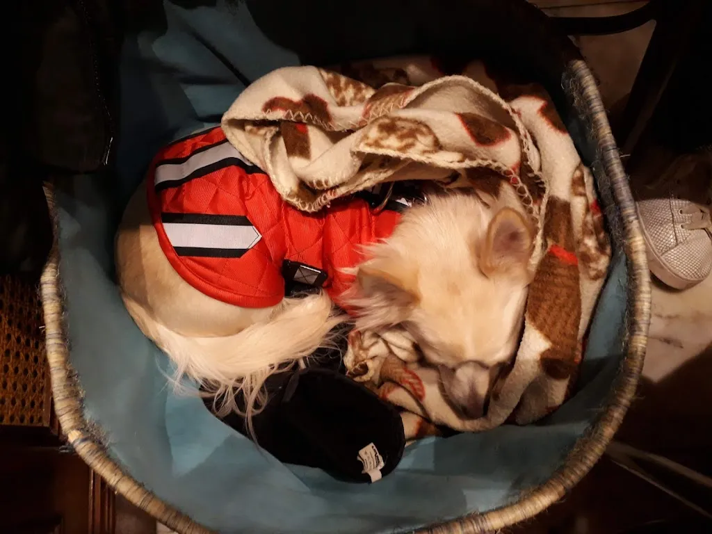 Eat Drink Sleep Bed and Breakfast_El Bote_Tapia de Casariego_review