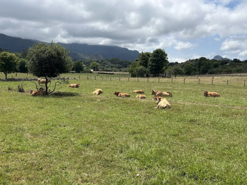 Rafael García_Restaurante La Cerezal_Ribadesella_review