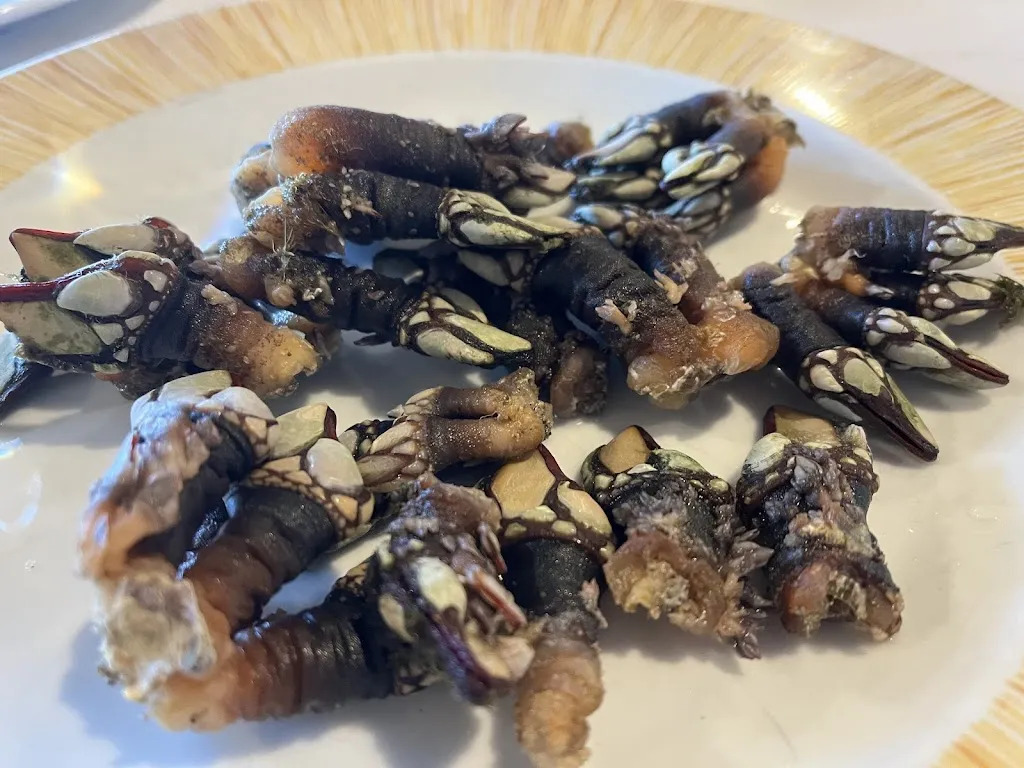 mariona_Cider Guide_Ribadesella_recensione