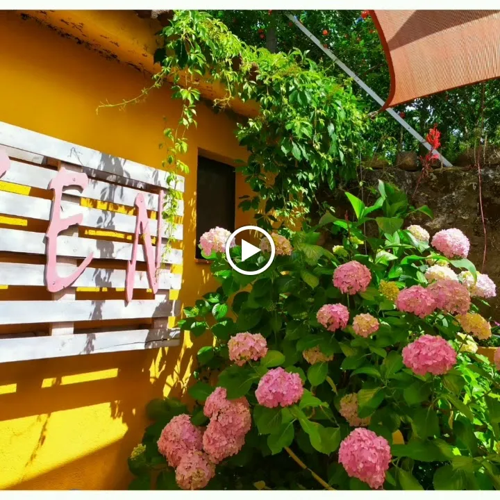 ZEN La Plaza RESTAURANTE-VINOTECA._Adrada La_slider_image_2