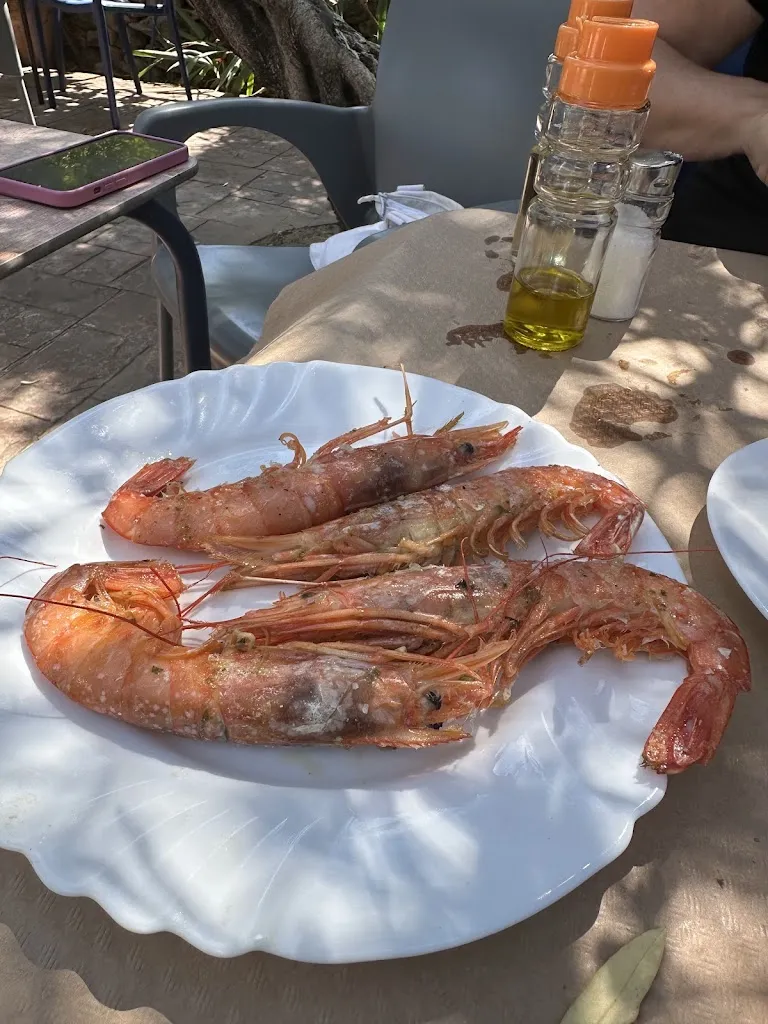 Vicente Pazos Cordero_La Casa_Adrada La_review