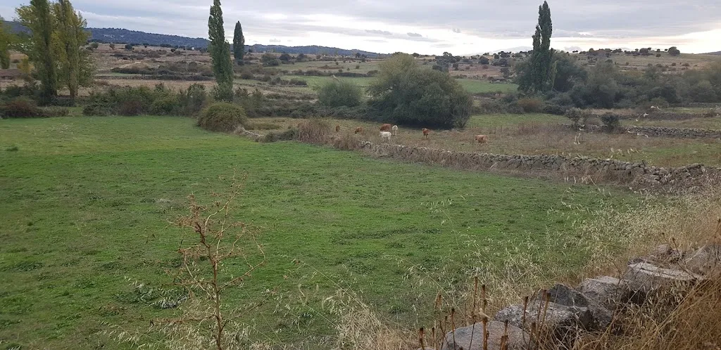 Bar La Cancha restaurant in Arevalillo