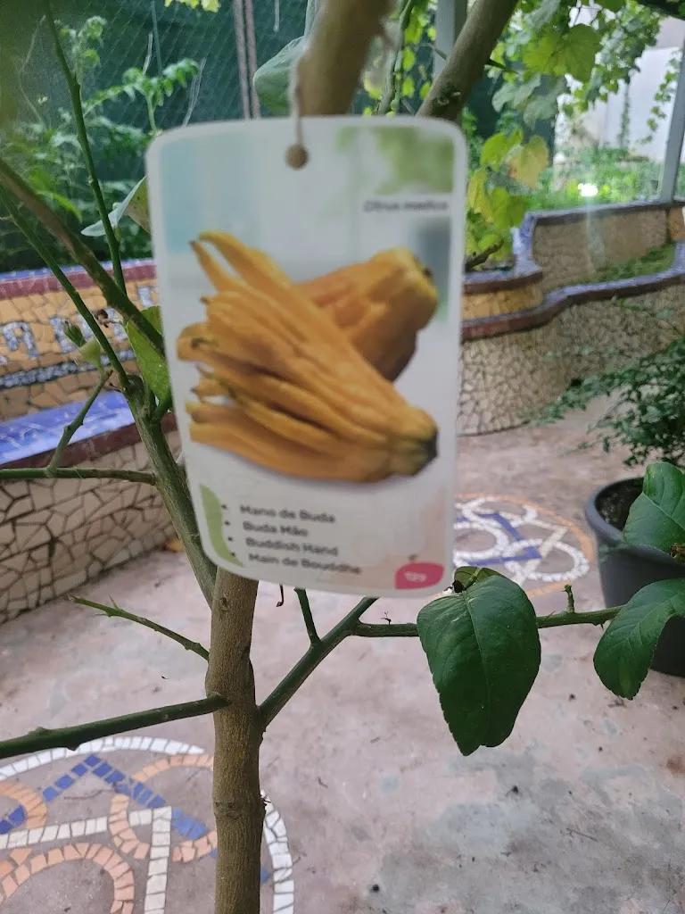 Francesco Schenone_Restaurante Arima_Villaviciosa_review