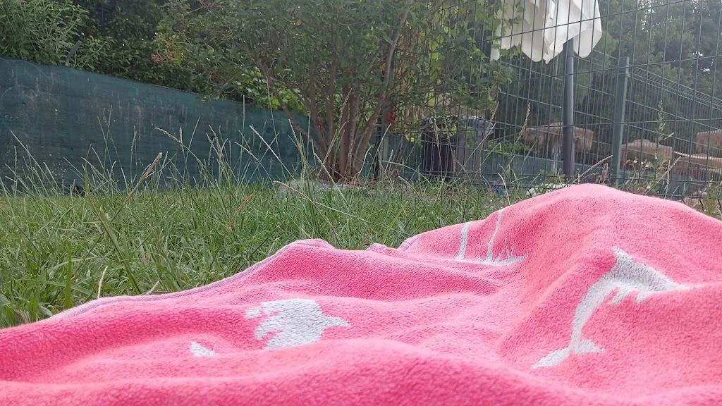 Luis Eduardo Reyes Plasencia_Piscinas Municipales Polideportivas_Arenas de San Pedro_review