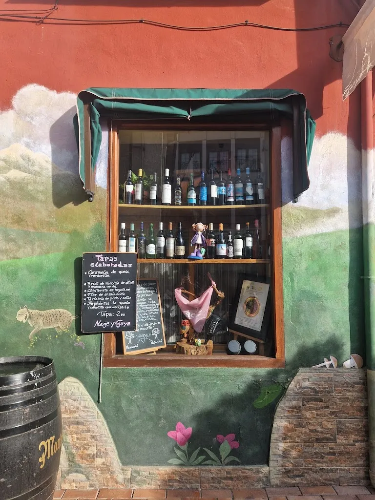 Raquel Rodrigo Mañas_La Taberna de Mage y Goya_Arenas de San Pedro_review