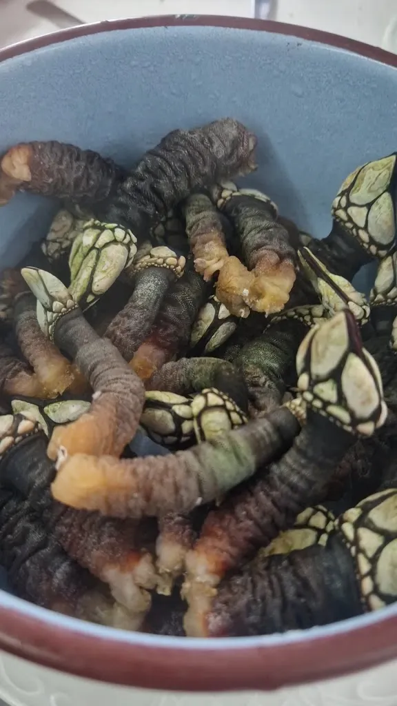 Restaurante O Burato_Malpica de Bergantiños_slider_image_2