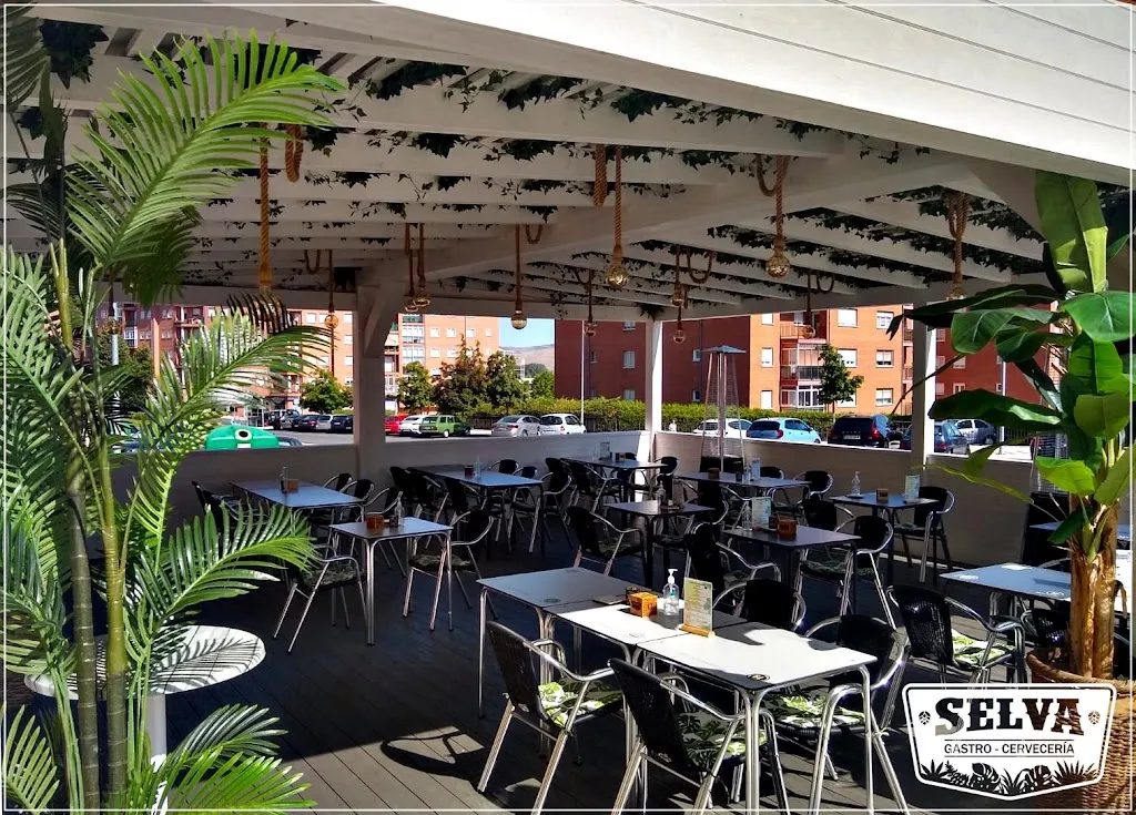 Restaurante Selva Gastro restaurant in Aveinte