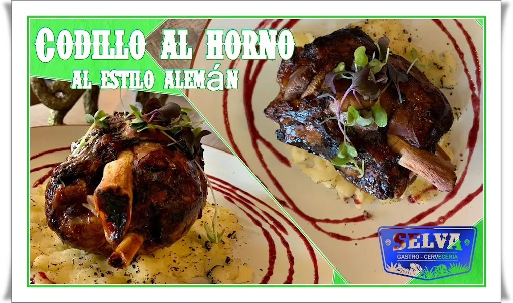 Restaurante Selva Gastro_Aveinte_slider_image_3