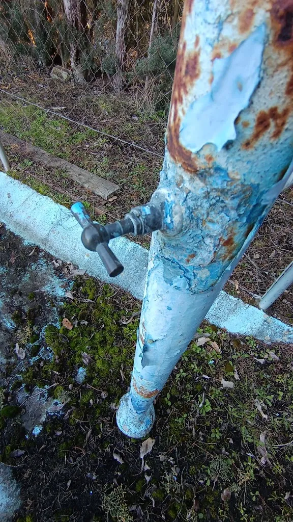 Luis Miguel García_Restaurante Manhattan_Cabizuela_review