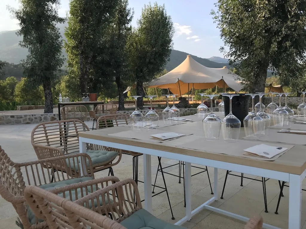 Restaurante y Bodega Huellas del Tiétar restaurant in Castellanos de Zapardiel