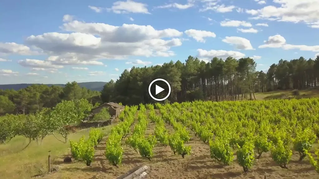 Restaurante y Bodega Huellas del Tiétar_Castellanos de Zapardiel_slider_image_2