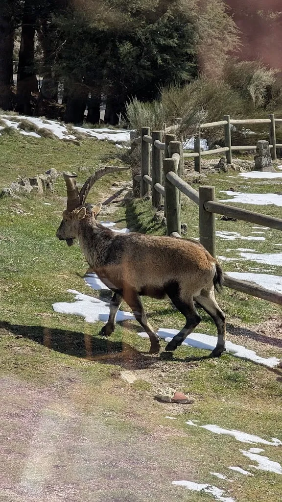 Steve Masefield_La Parada del Arriero_Cuevas del Valle_review