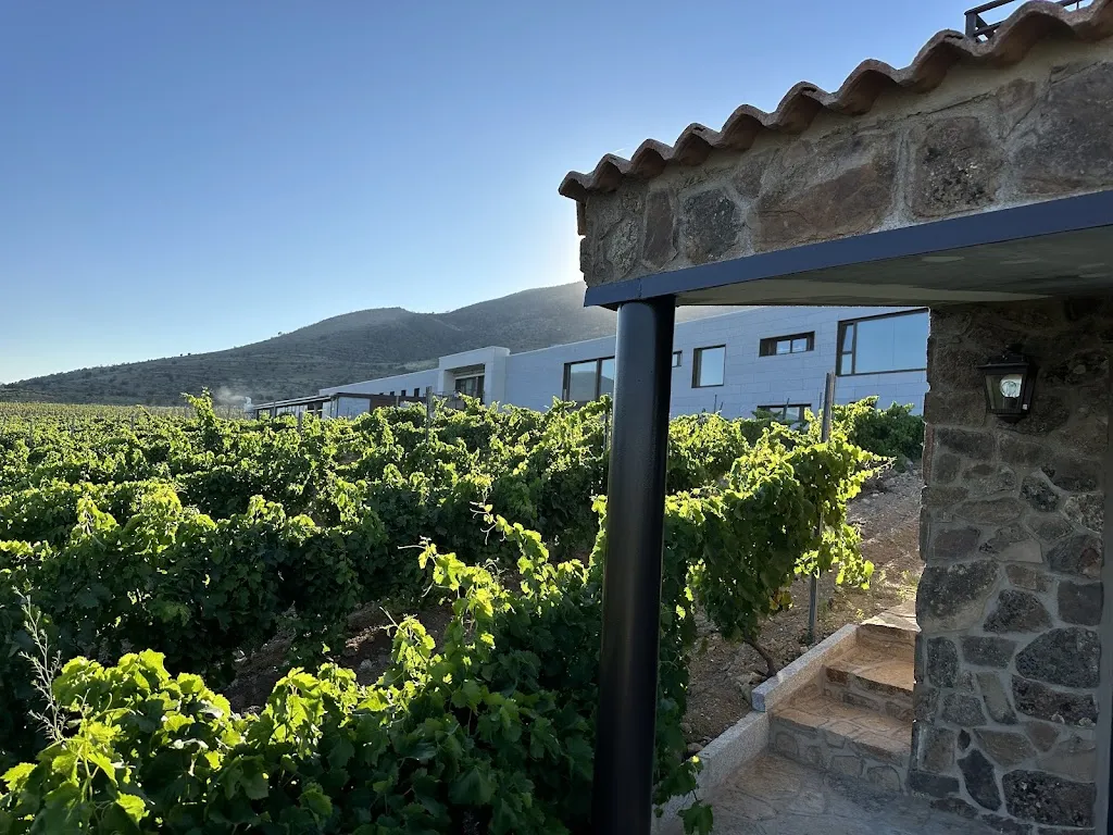 marika marton_Deorsum - Restaurante en Cebreros_Cebreros_review