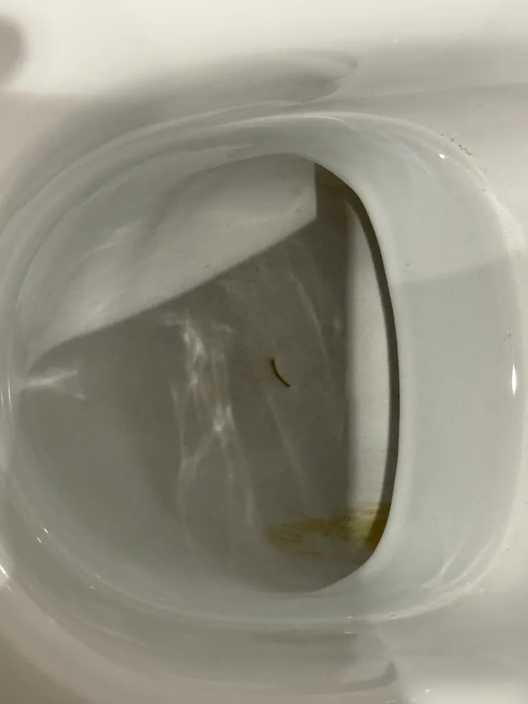 Mogoltay Morgul_Eurostars Palacio Santa Marta_Grandes y San Martín_recensione