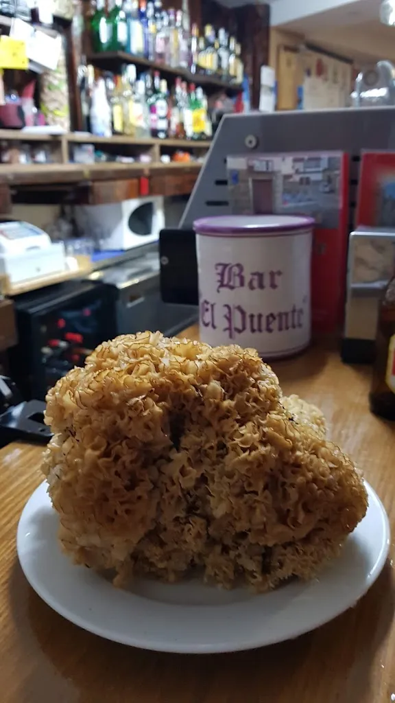 Menu_Bar El Puente_Guisando_image_8