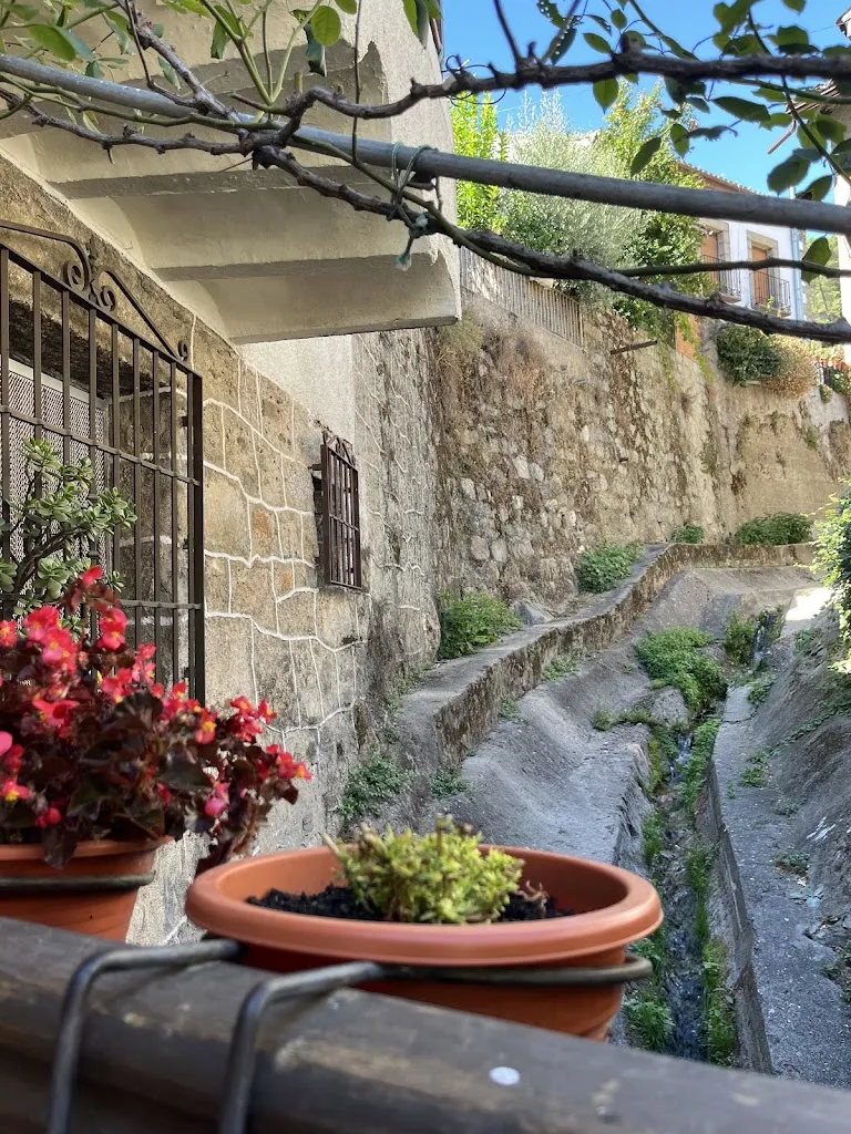 Mireia Mut_Bar El Puente_Guisando_review