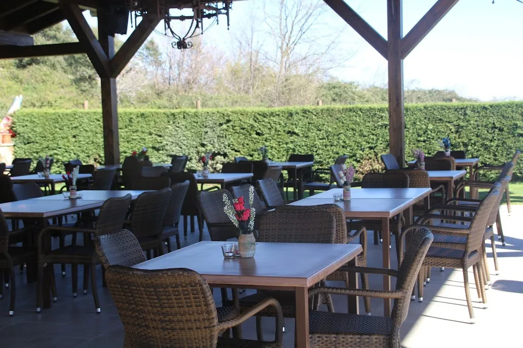 Restaurante El Rodeo restaurant in Candeleda