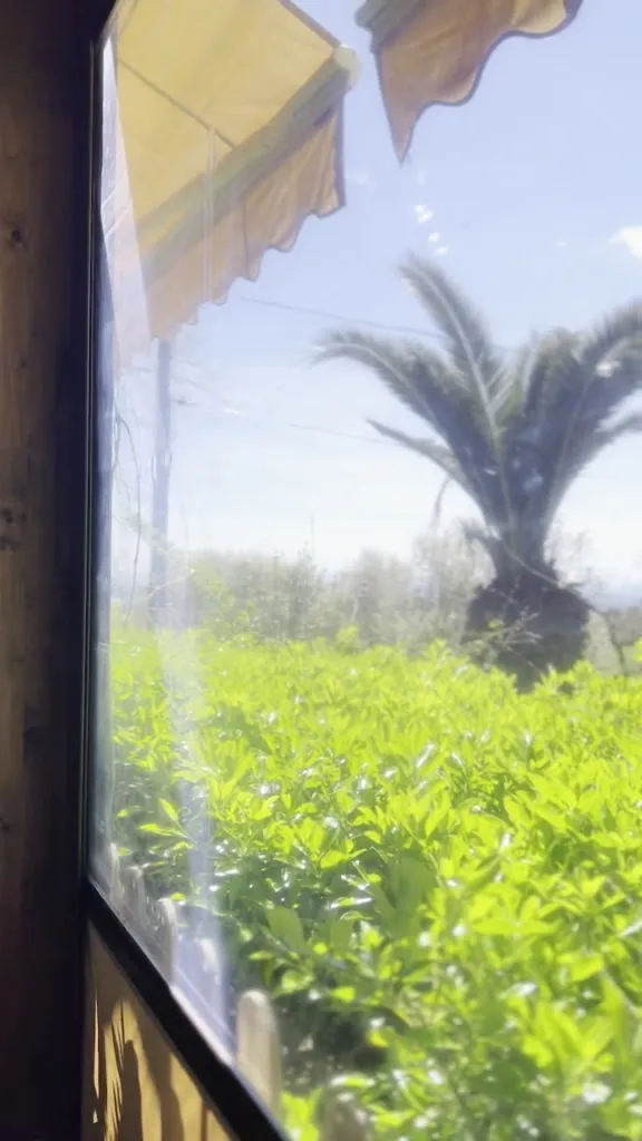 ROPINO, Casa Rural y Restaurante_Candeleda_slider_image_2