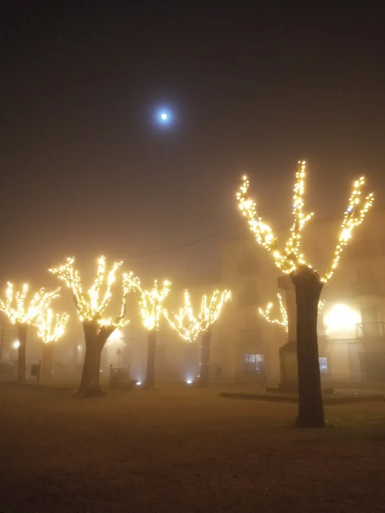 Geoff Sims_Crisol Conde Rodrigo_Hoyorredondo_review