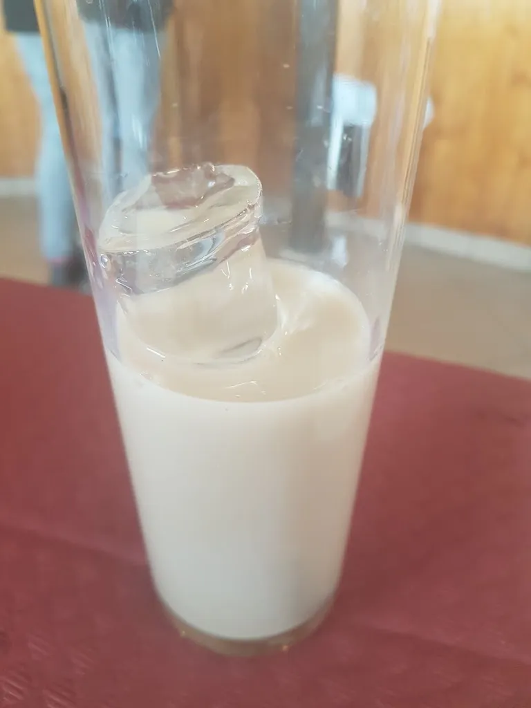 Erika Castañeda_Bar Gredos_Hoyos del Collado_review