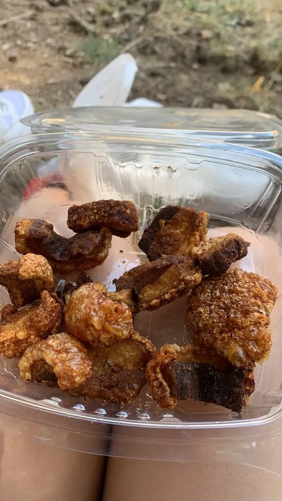 Claudia Martínez_Bar Restaurante - Camping de Gredos_Hoyos del Collado_recensione