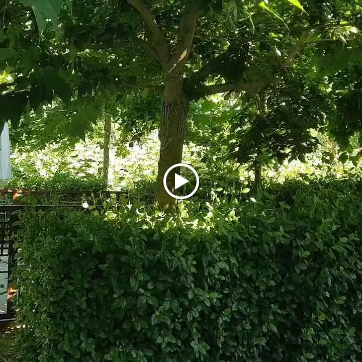 Ribera del Corneja_Mesegar de Corneja_slider_image_2