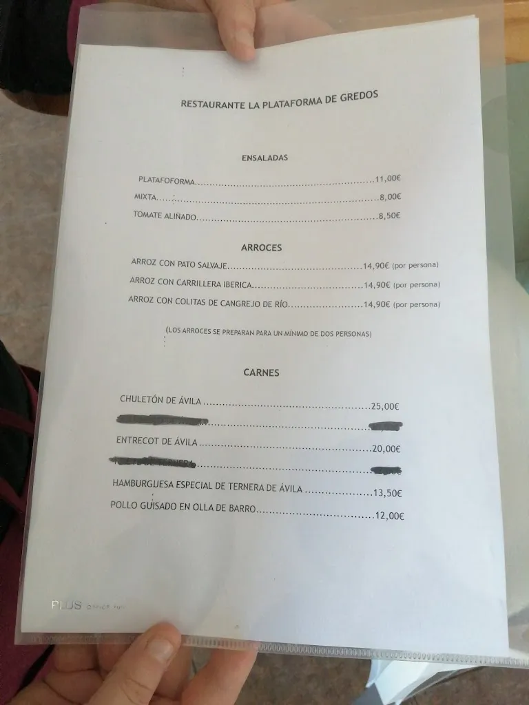 Menu_Restaurante/Pizzería La Plataforma_Hoyos del Espino_image_3