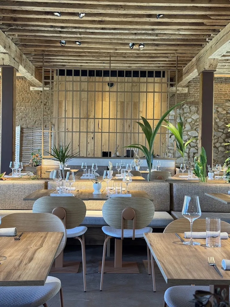 Francisco Vivas_Surco Restaurante_Muñopepe_review