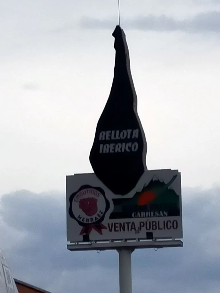 Bene DPJ_Carhesan S.A._Muñana_review