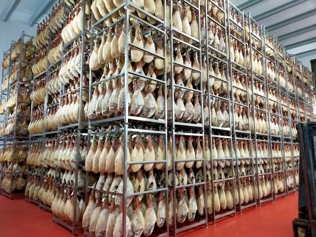 Carhesan S.A._Muñana_slider_image_2