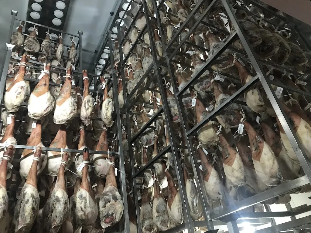 Carhesan S.A._Muñana_slider_image_3