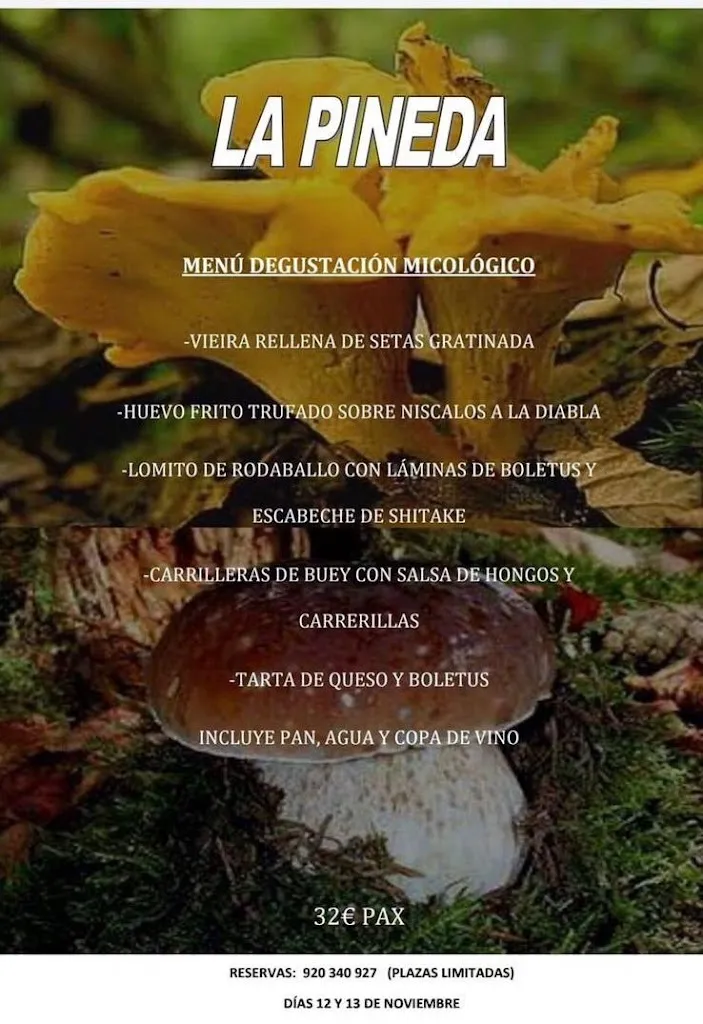 Menu_LA PINEDA Hostal - Restaurante_Nava del Barco_image_4