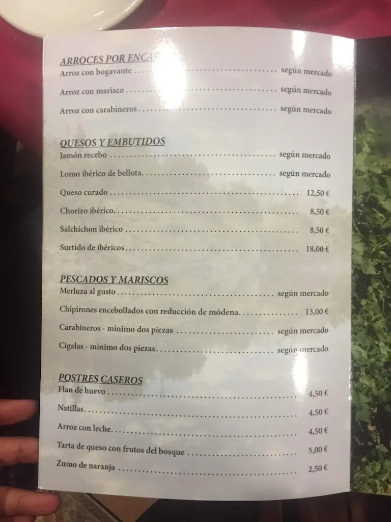 Menu_Restaurante Avenida_Nava del Barco_immagine_4