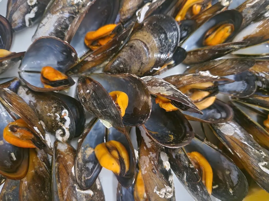 Menu_Nautic A Graña_Ferrol_image_7