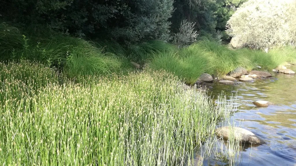 Jaime Garcia_Restaurant Camping La Guilera_Navalonguilla_review