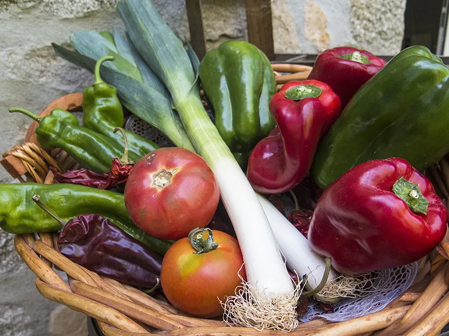 Menu_PATIO · Taberna · Terraza Jardín_Navalperal de Pinares_image_7
