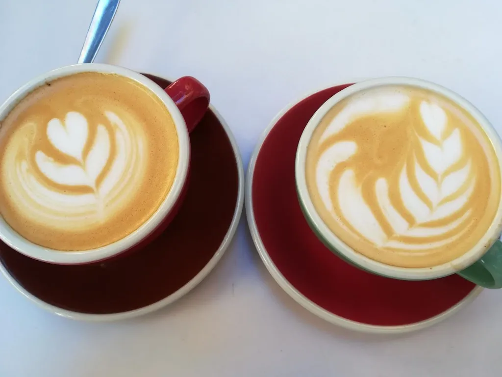 Menu_The Bear and the Madroño_Oso El_image_5