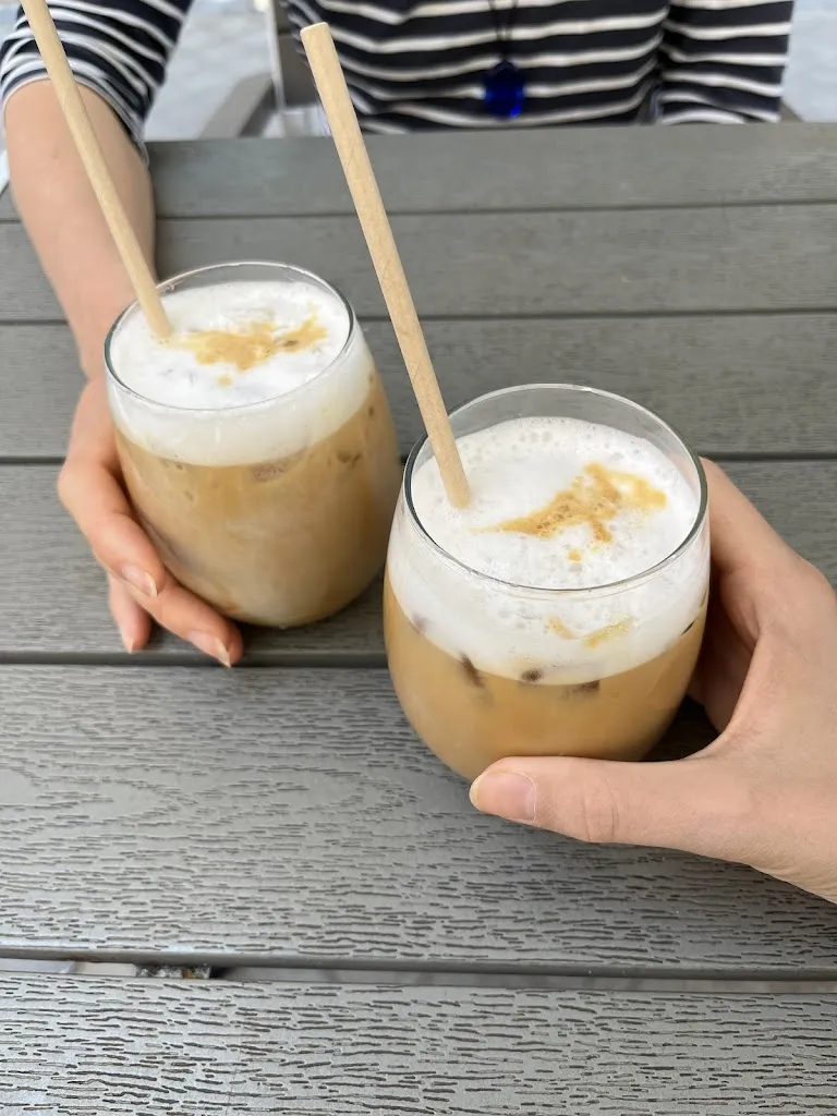 Richard Römer_The Bear and the Madroño_Oso El_review