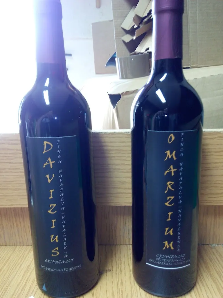 Menu_Bar La Viña_Navaluenga_image_1