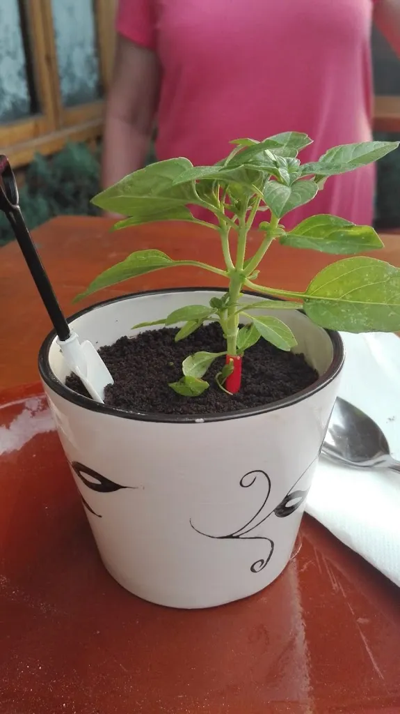 Menu_L'Albero Pizza_Navaluenga_immagine_6