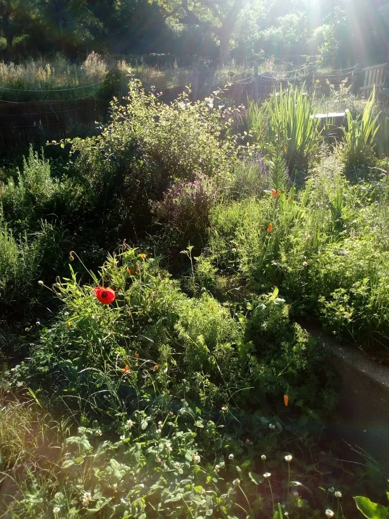 Bar Restaurante La Mirandela_Pedro Bernardo_slider_image_3