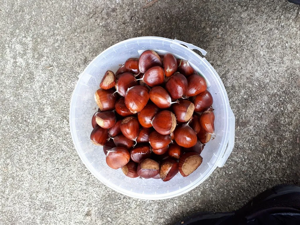Menu_Restaurante O'Verxel_Mazaricos_image_4