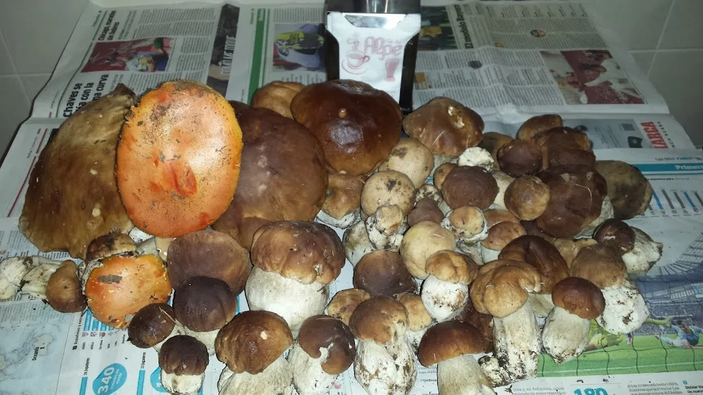 Menu_Cafe Bar Alpe_San Bartolomé de Corneja_image_8