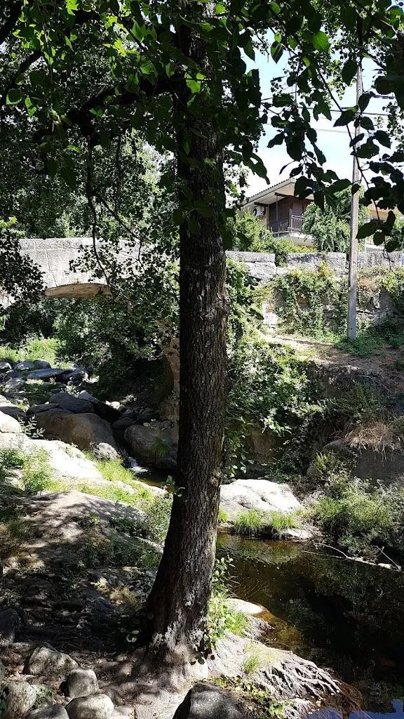 A. J. A. T._La Bodeguilla_Piedralaves_review