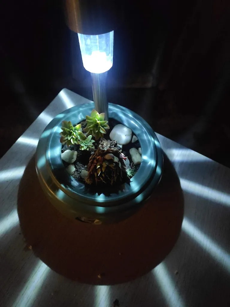 Menu_CopasVicenBar_San Juan del Molinillo_image_9