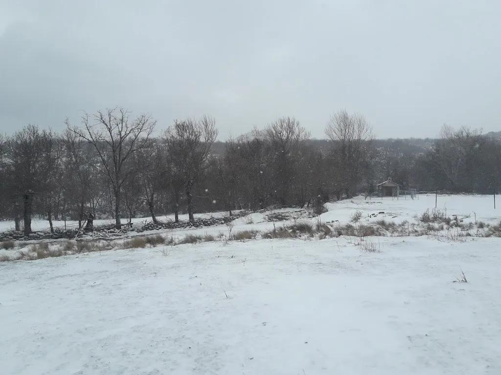 Bar Villarrivas_San Juan del Molinillo_slider_image_2