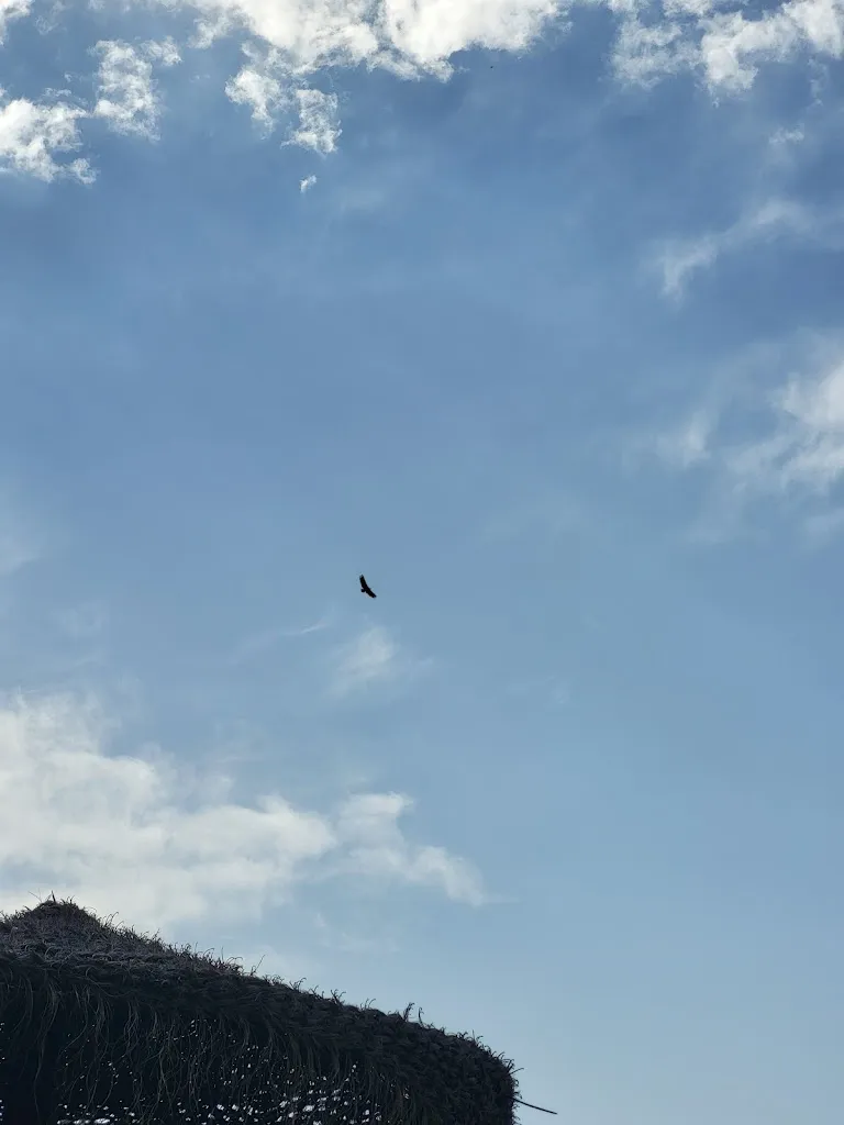 Mismejoresviajes_Bar Piscina Santa Cruz del Valle_Santa Cruz del Valle_recensione