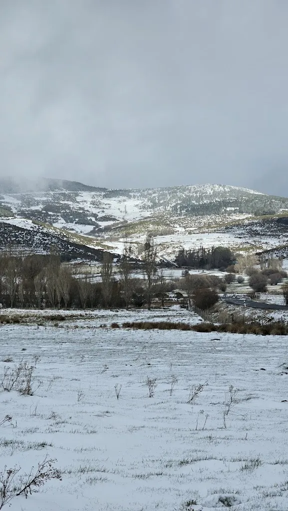 Laura Torres Romero_La Casita del Alberche_San Martín de la Vega del Alberche_review