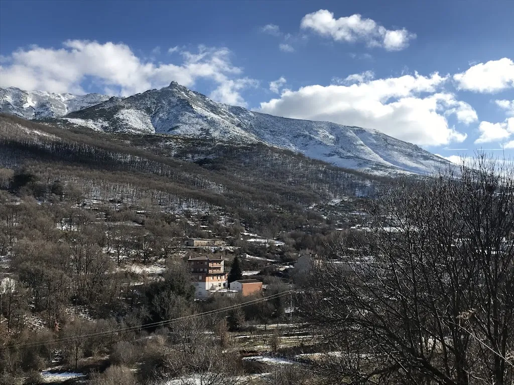 Bene DPJ_Restaurante La Herrén_Serranillos_review