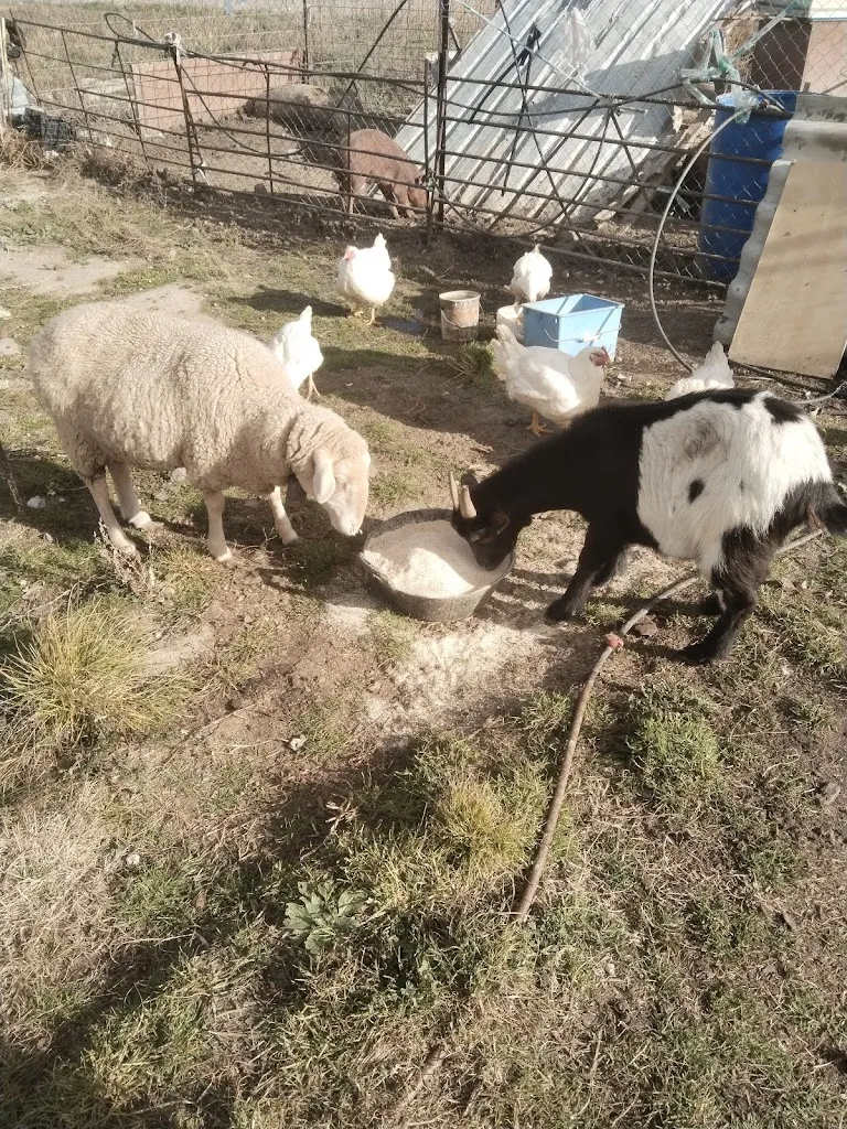 Casa Abuela Simona_Vega de Santa María_slider_image_2
